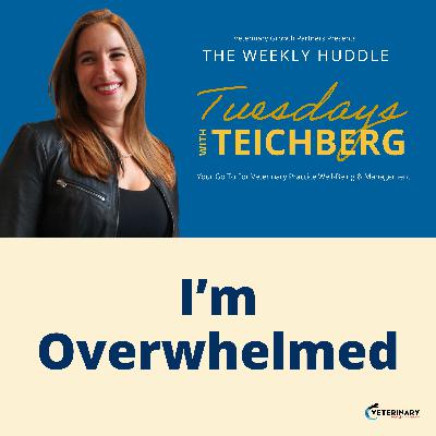 Tuesdays With Teichberg | I'm Overwhelmed Tuesdays With Teichberg | I'm Overwhelmed