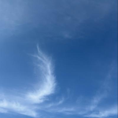 朝のルーティン from Radiotalk