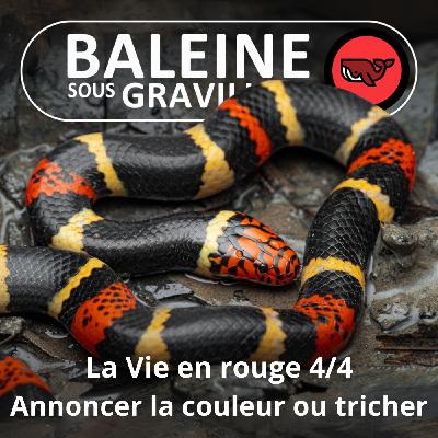 S07E50 La vie en... rouge 4/4 : Annoncer la couleur ou tricher ? (Frédéric Archaux)