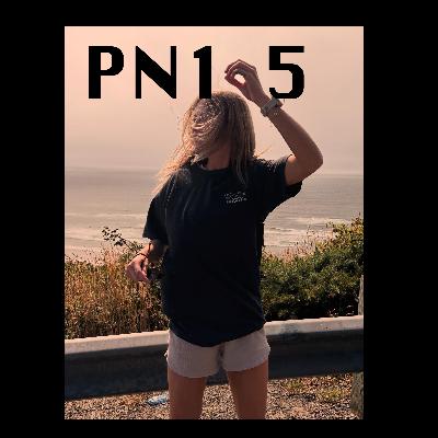 PN105. PN Discusses Big Wood
