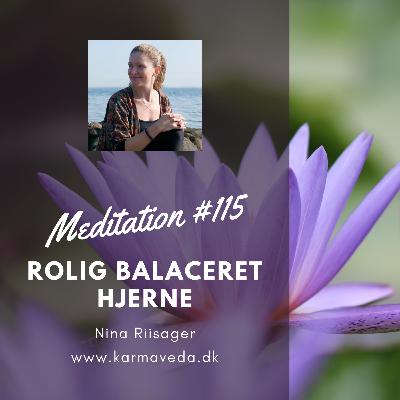 Rolig balanceret hjerne meditation 115