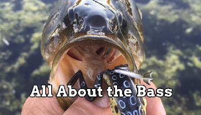 Always in Pursuit Episode Twenty-One: All About The Bass Always in Pursuit Episode Twenty-One: All About The Bass