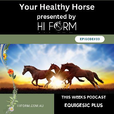 #33 Asthma, COPD, airway obstruction and heaves