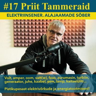 #17 Priit Tammeraid - elektriinsener, Eesti alajaamade sõber #17 Priit Tammeraid - elektriinsener, Eesti alajaamade sõber