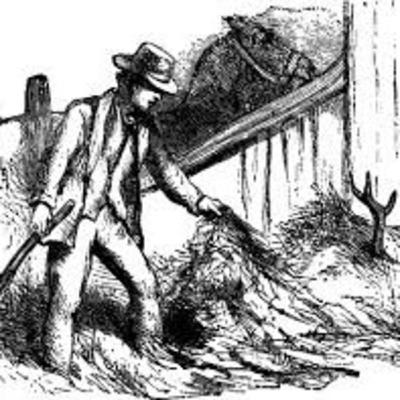 The Stag in the Ox-Stall The Stag in the Ox-Stall