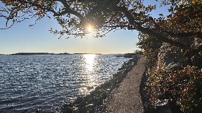 346. Jag är hos dig