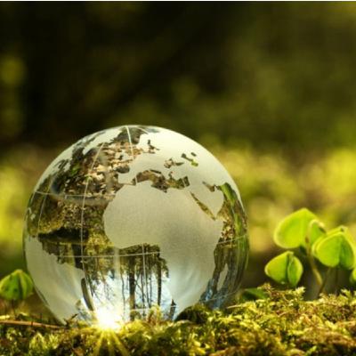 Negocios Verdes, una oportunidad para aprender Con Mauricio cardenas #203