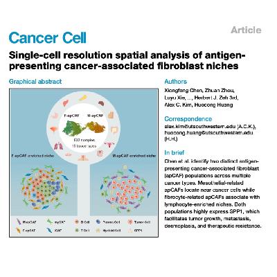 301-apCAF Spatial Niches Define SPP1-Driven Tumor Virulence 301-apCAF Spatial Niches Define SPP1-Driven Tumor Virulence