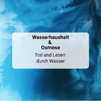 #46: Tod und Leben durch Wasser
