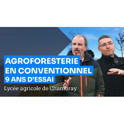 Agroforesterie et Céréales en conventionnel : 9 ans de résultat ! Agroforesterie et Céréales en conventionnel : 9 ans de résultat !