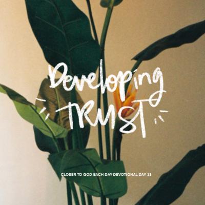 Developing Trust