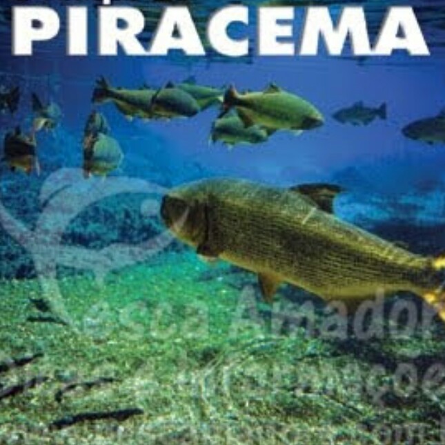 PIRACEMA: