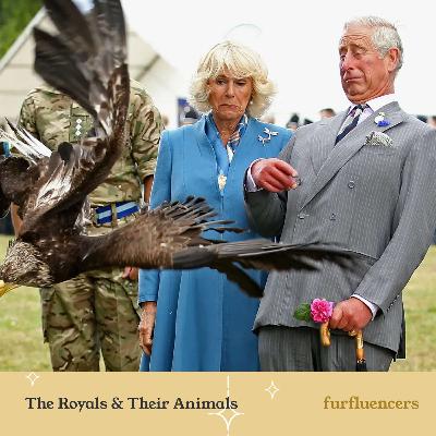 Animals That Get The Royal Treatment