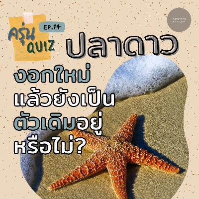 EP.14 ปลาดาว งอกใหม่แล้วยังเป็นตัวเดิมอยู่หรือไม่? #วิทยาศาสตร์ #สัตว์น้ำ #ความรู้รอบตัว EP.14 ปลาดาว งอกใหม่แล้วยังเป็นตัวเดิมอยู่หรือไม่? #วิทยาศาสตร์ #สัตว์น้ำ #ความรู้รอบตัว