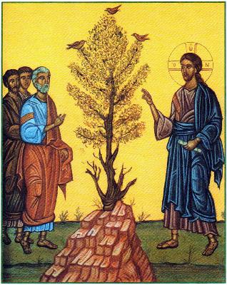 Audio: Twenty-seventh Sunday in Ordinary Time Audio: Twenty-seventh Sunday in Ordinary Time