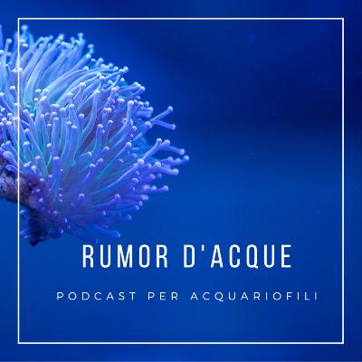 Killifish progetti e mantenimento con Valerio Urbani - Rumor D'Acque Ep. 02 - Stagione 2