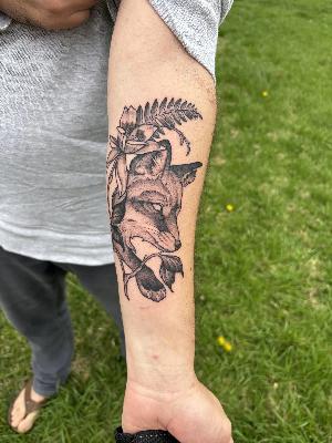 Addressing Fox conservation and cyber bullying with Dan Cole from SaveAFox