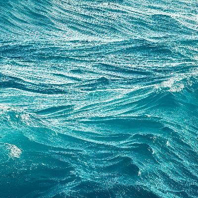 Favor in a season of chaos Favor in a season of chaos