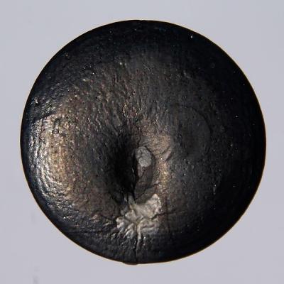 Selen: Ein guter Grund - mit Dr. Stefan Hügel Selen: Ein guter Grund - mit Dr. Stefan Hügel