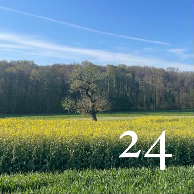#24 - Savoir gérer les aléas de son activité