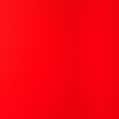 Emmanuel valdez salinas