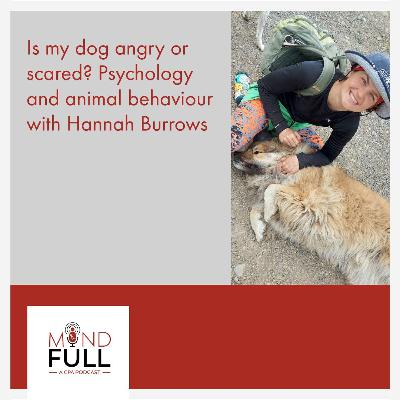 Is my dog angry or scared? Psychology and animal behaviour with Hannah Burrows