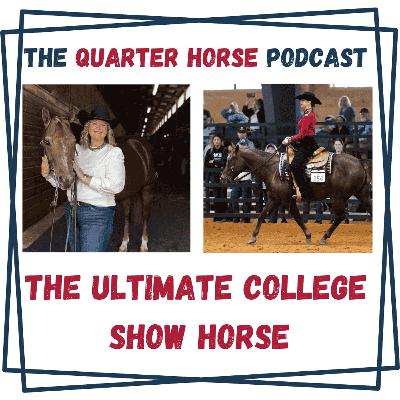 The Ultimate College Show Horse - The Quarter Horse Podcast