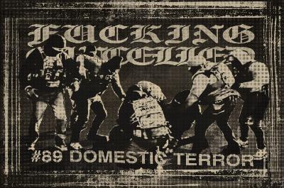 Domestic Terror Domestic Terror