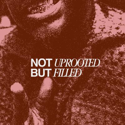 "Not Uprooted But Filled" Pastor Anthony