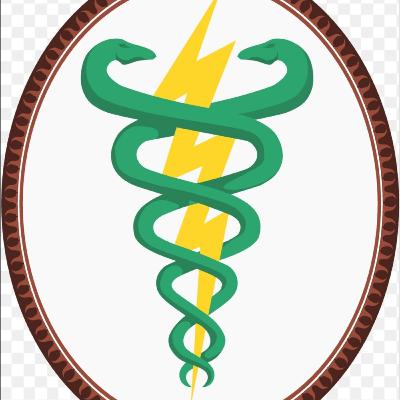 Fisioterapia en la Neurorehabilitacion