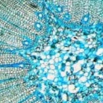 Histología y citología vegetal Histología y citología vegetal