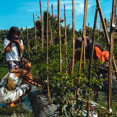 Tetebatu & Tomate: Wie ich mich in Lombok verliebte Tetebatu & Tomate: Wie ich mich in Lombok verliebte