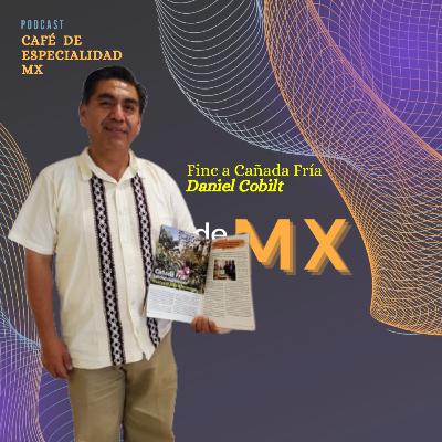 29 / Finca Cañada Fría / Veracruz / Daniel Cobilt 29 / Finca Cañada Fría / Veracruz / Daniel Cobilt