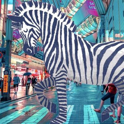 ZebraTalks#2　小柴優子さんに聞く、インパクト思考でゼブラなキャリアのの作り方