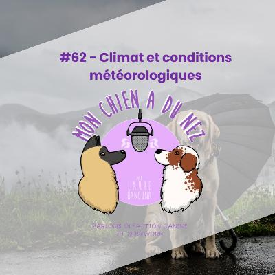 #62 - Climat et conditions météorologiques