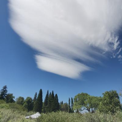 Vol 74 薄伽梵歌|生命之树与星际基因密码：从《薄伽梵歌》到阿努纳奇人类起源论