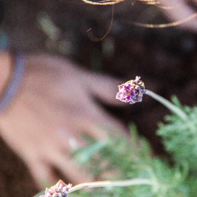 Día 14 "Estoy dispuesta a ver mi grandeza" Día 14 "Estoy dispuesta a ver mi grandeza"