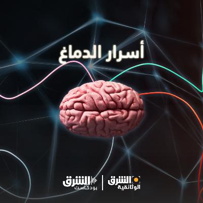 أسرار الدماغ | كيف نكذب؟ أسرار الدماغ | كيف نكذب؟