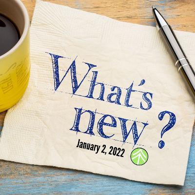 What's New What's New