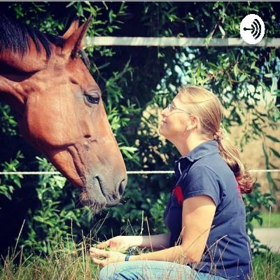 Folge 18 Mein Pferdeherz