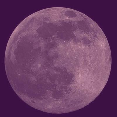 MEDITACIÓN EN LOS SENTIDOS