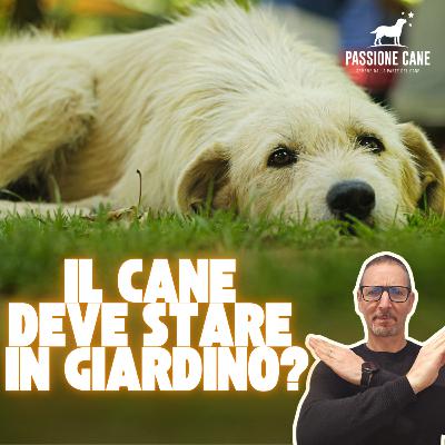 EP. 20 IL CANE DEVE STARE IN GIARDINO?