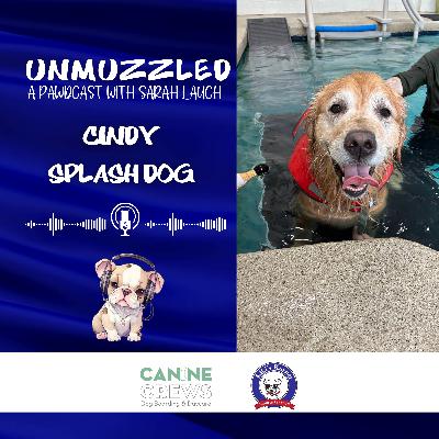 Unmuzzled: A Pawdcast with Cindy from Splash Dog