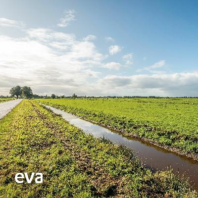 Meditatie in de weilanden Meditatie in de weilanden