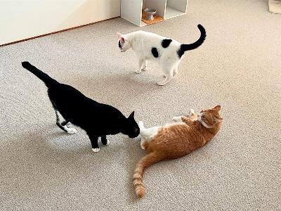 #1369 まちの本屋とは？① from Radiotalk