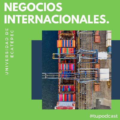 NEGOCIOS INTERNACIONALES
