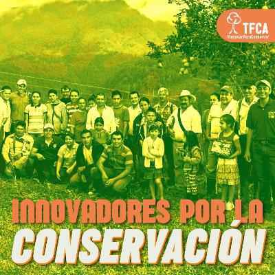 Innovadores de la conservación: leña al monte