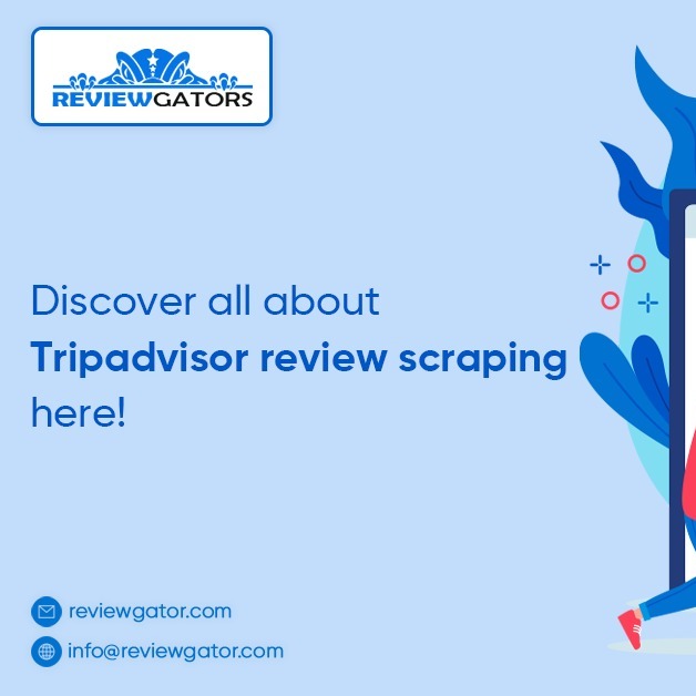 Tripadvisor Review Scraping Turning Data Into Actionable Insights