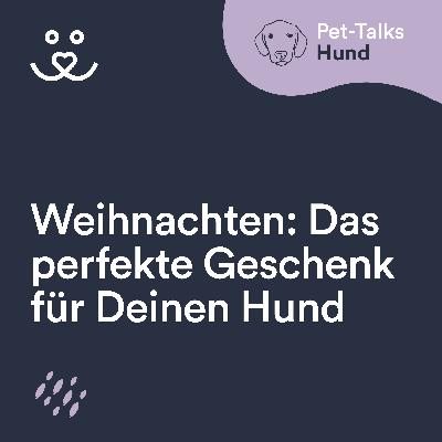 Expertin: Das ist das perfekte Weihnachtsgeschenk für Deinen Hund
