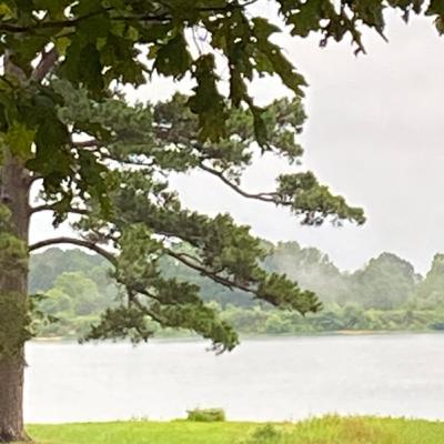 Down by the lake